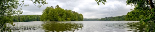 See umgeben vom Wald mit bedecktem Himmel