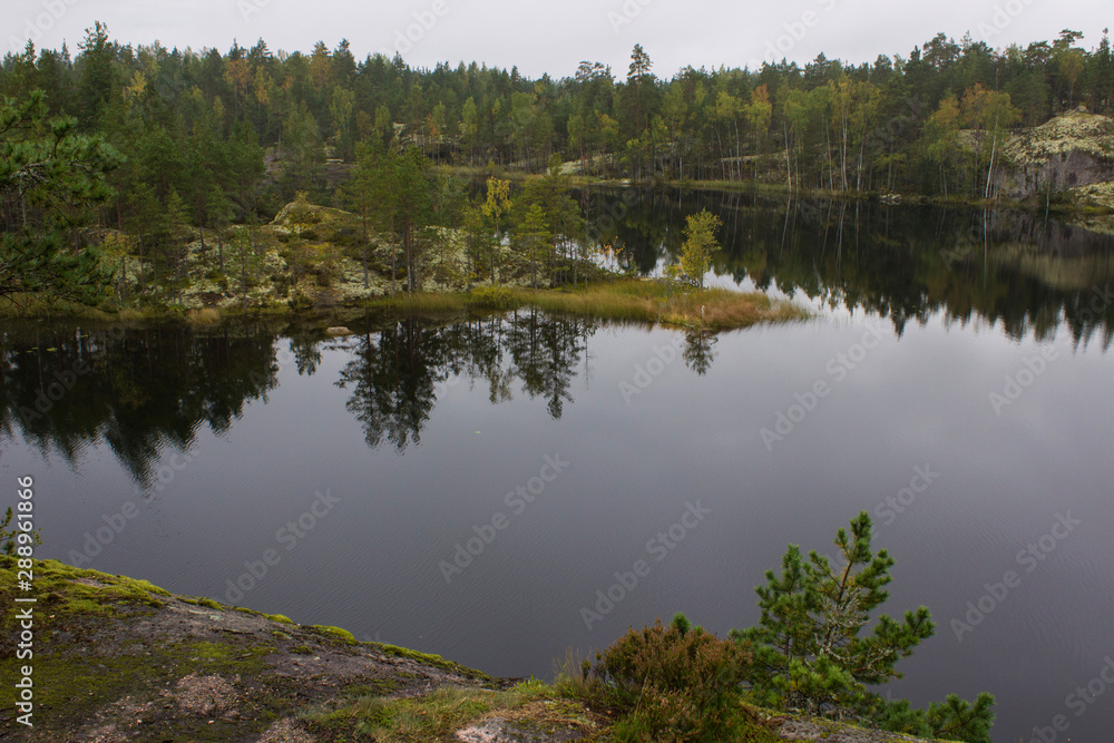 Obraz premium lake in the forest