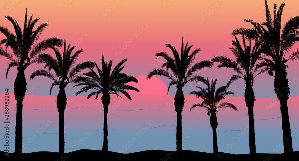 Palm trees and sea and sunset, beach silhouette. Beautiful scenery.