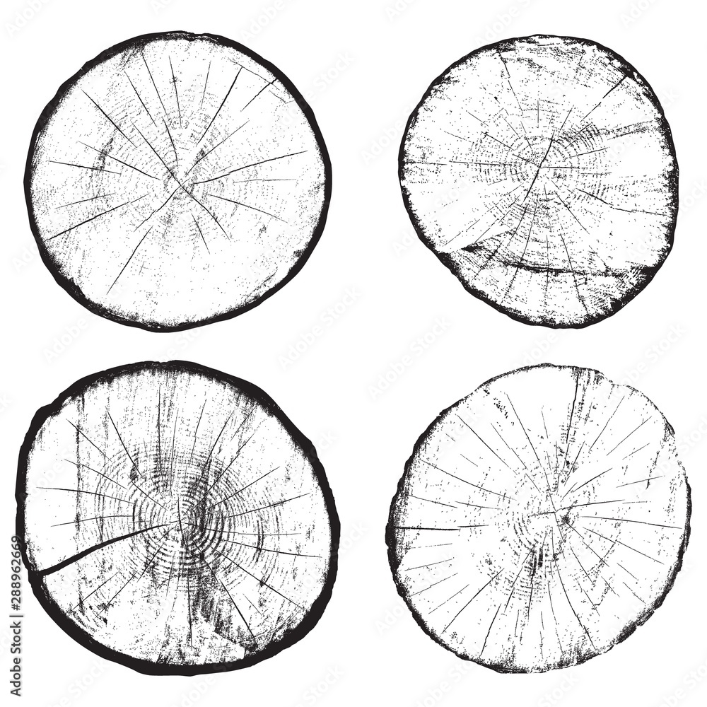 Set of   stumps cross sections with annual rings. Black on white. Vector Illustration.