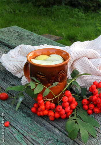 Ceramic cup with aromatic apple tea, branches of rowan berries (mountain ash)  and withe sweater  on wooden table in the garden. Autumn consent.