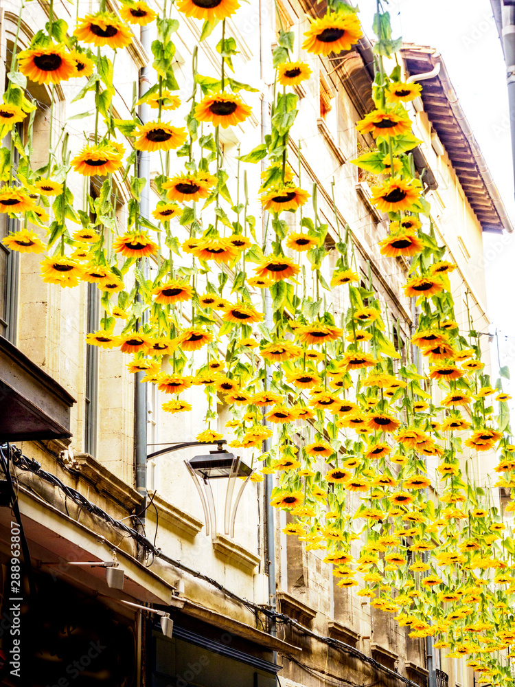 Hanging sunflowers over european city street with lamp-portrait
