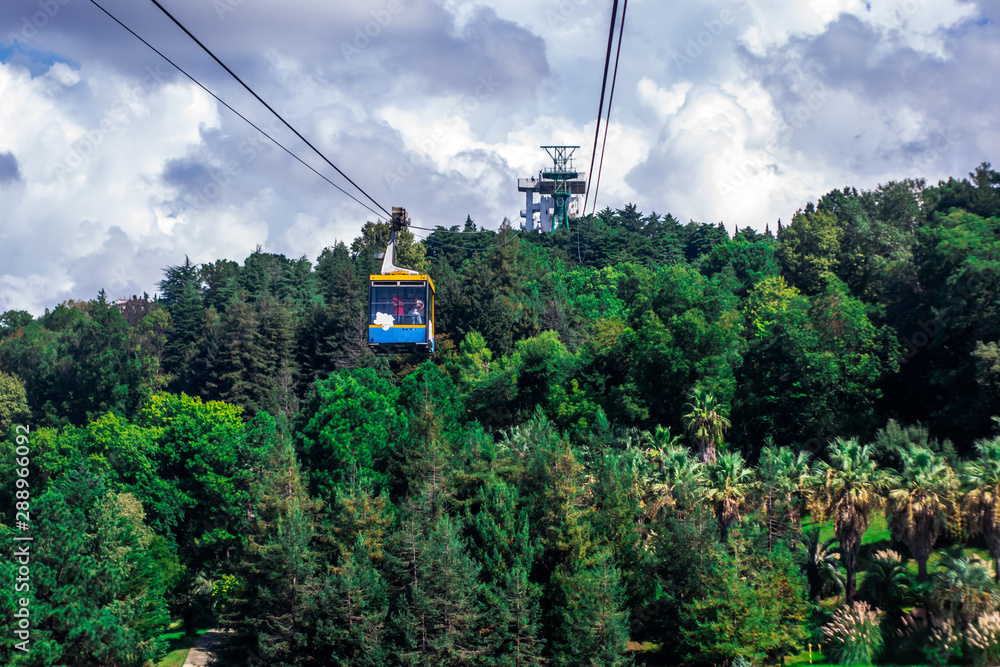 air tour in the cable car over the green forest
