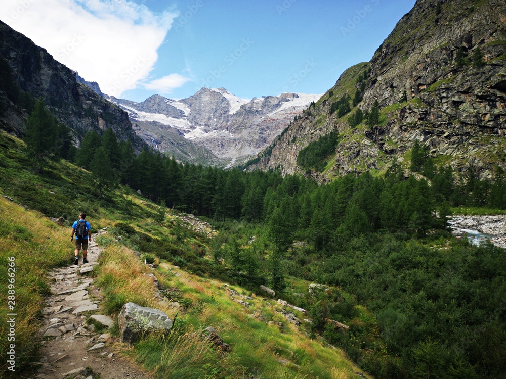 Alpine landscape - Grand Paradiso mountains , Valnontey, Aosta Valley, Italy