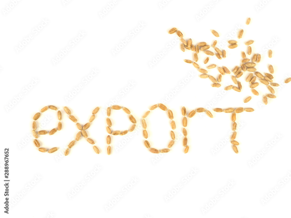 Grain export concept. External economic relations of the country. Allowing or banning the export of strategic food stock