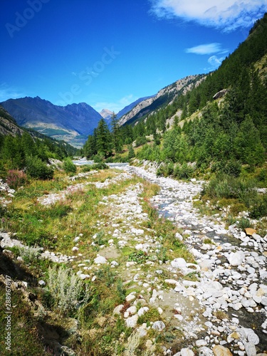 Alpine green valley landscape - Grand Paradiso mountains , Valnontey, Aosta Valley, Italy