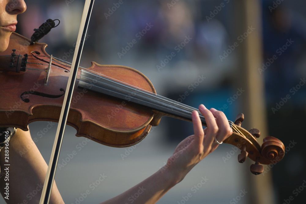 Fototapeta Violin. Street musician plays the violin. Hand girl playing the violin closeup