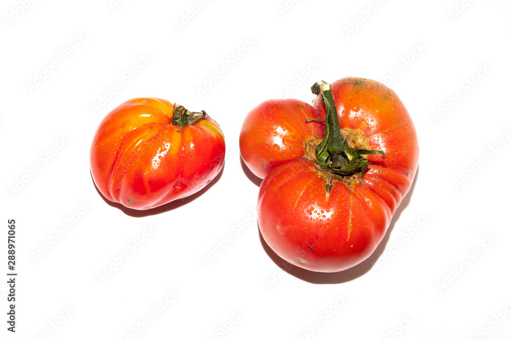 Tomates de cultivo ecológico de variedad Raf Tomates de cultivo ecológico de variedad Raf