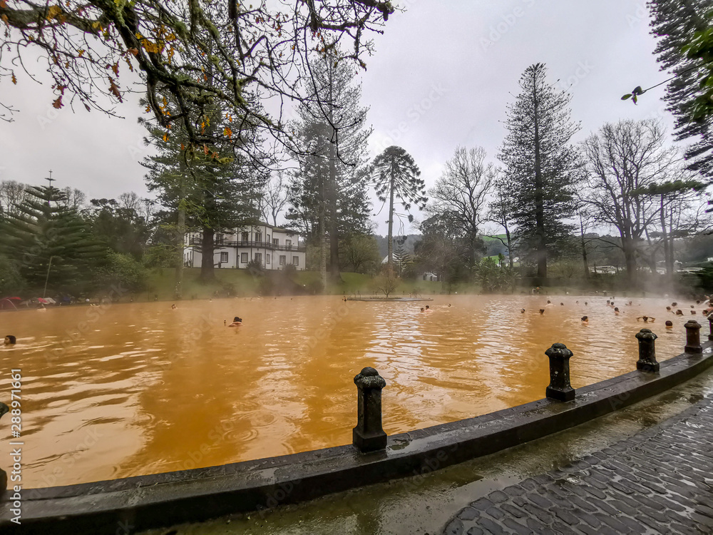 Obraz premium Hot and ferrous water pool at Terra Nostra Park in Furnas, Azores