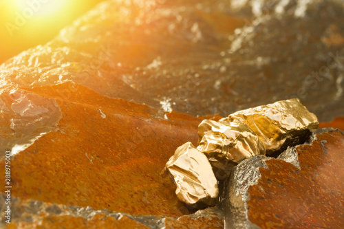 The pure gold ore found in the mine on a wet stone by the river. Golden bar in nature with shiny sunlight close up. Success and Investing Concept image.