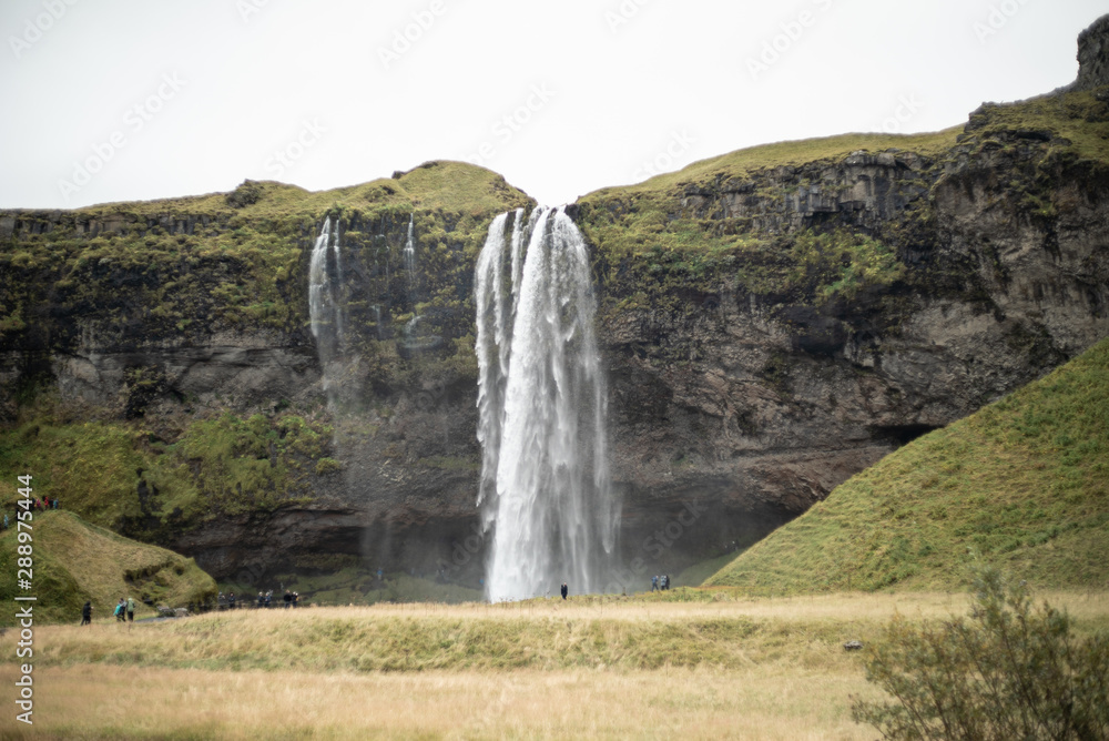 Fototapeta premium Waterfall in Iceland