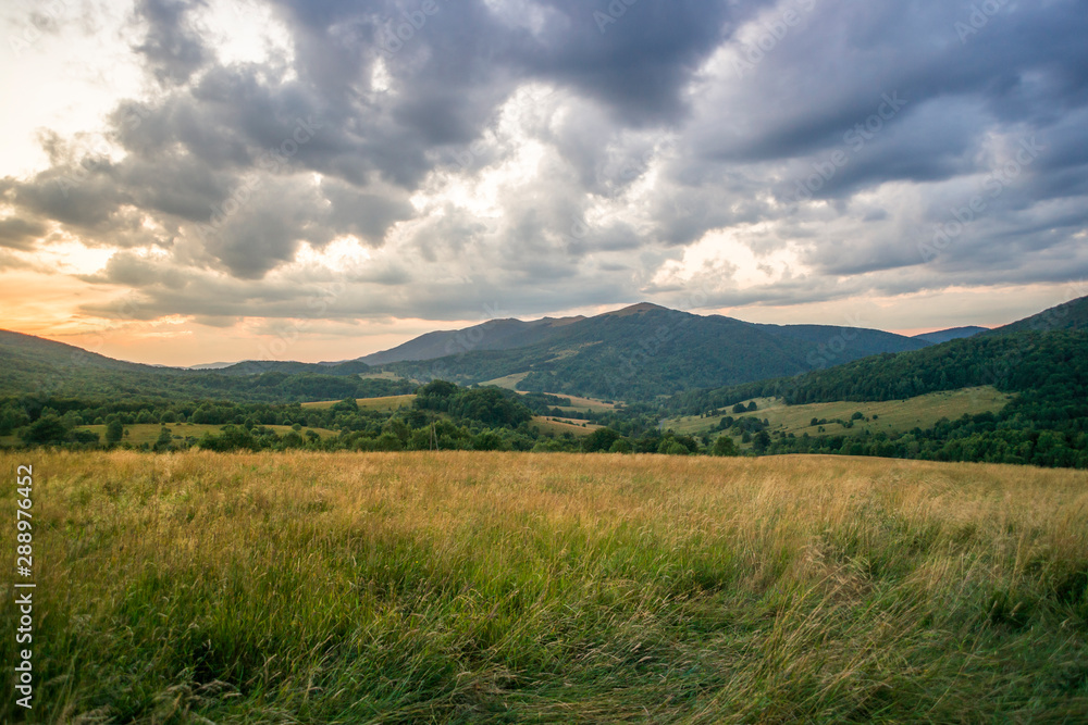Połonina Wetlińska, Widok z Wyżniańskiego Wierchu