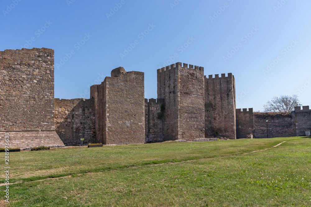Ruins of Smederevo Fortress in town of Smederevo, Serbia