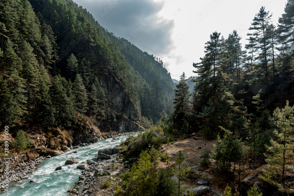 River flows through a Nepalese valley surrounded by a green pine forest on a cloudy day