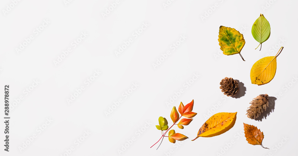 Fototapeta premium Autumn leaves from above - overhead view flat lay