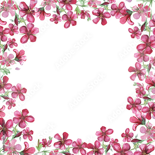 Watercolor frame with pink wildflower.Watercolor meadow geranium. Illustration isolated on white background.