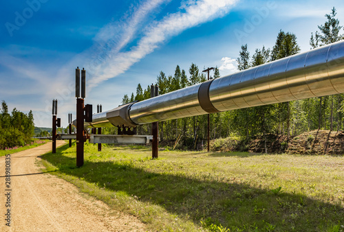 Oil Pipeline in Wildlife Habitat