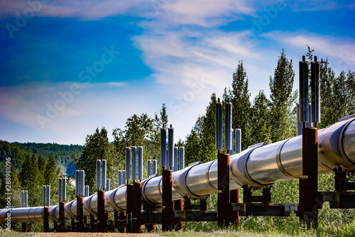 Oil Pipeline in Wildlife Habitat