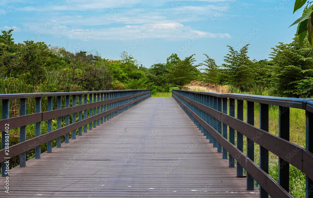 Fototapeta premium Bridge in the Woods