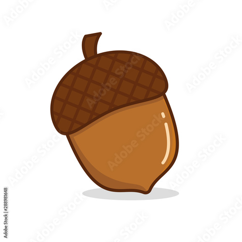Acorn vector illustration isolated on white background. Acorn clip art