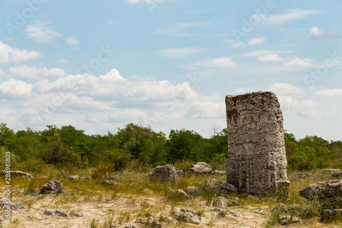 Planted stones, also known as The Stone Desert. Landforms of Varna Province. Rock formations of Bulgaria. Stone forest.