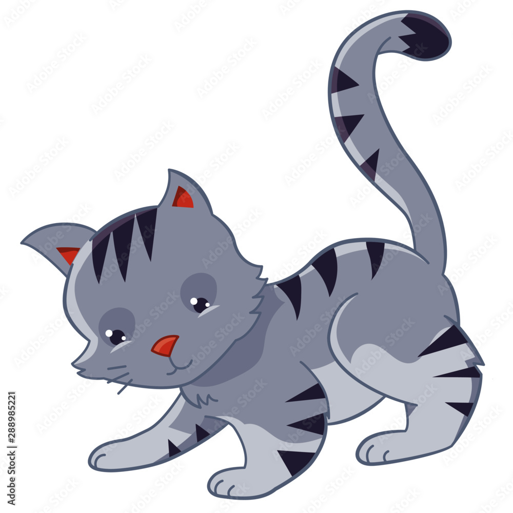 Fototapeta premium Cute Gray Cat Playing