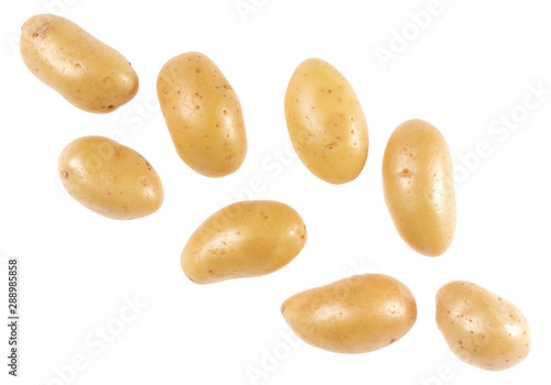 Potato isolated on white background with copy space for your text. Top view. Flat lay pattern. Potatoes in air, without shadow.
