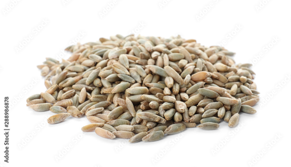 Pile of rye grains on white background. Cereal crop Pile of rye grains on white background. Cereal crop