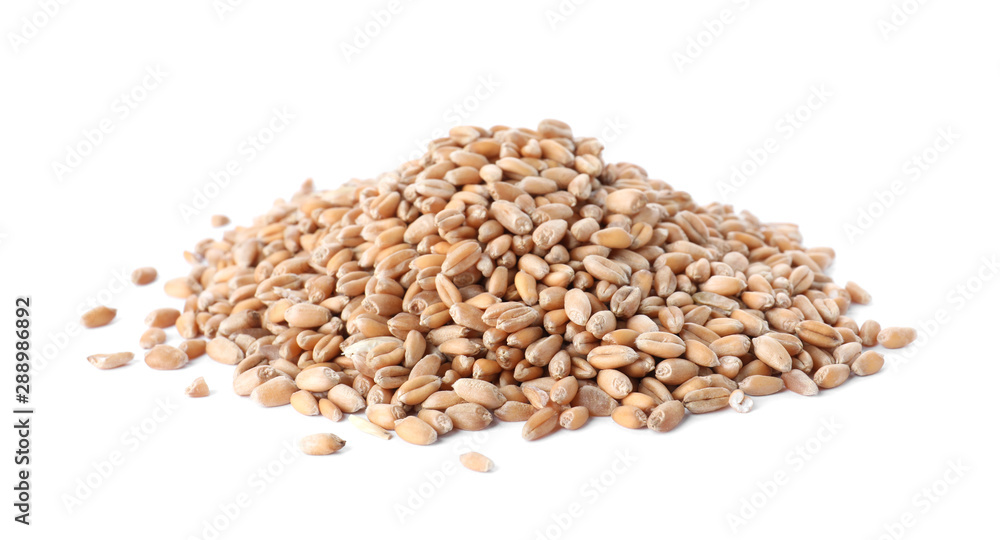 Pile of wheat grains on white background. Cereal crop Pile of wheat grains on white background. Cereal crop