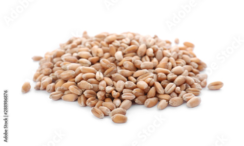 Pile of wheat grains on white background. Cereal crop