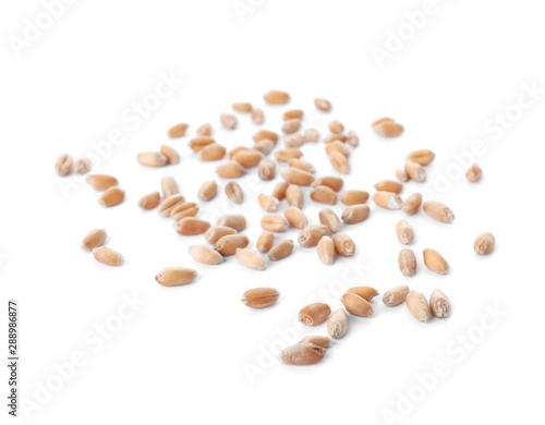 Wheat grains on white background. Cereal crops