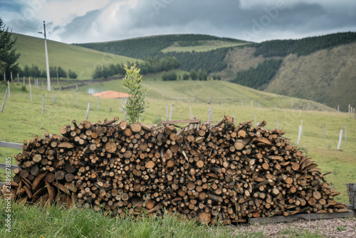 woodpile with fields and mountains in distance
