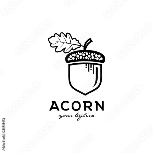 acorn with leaf vector logo design