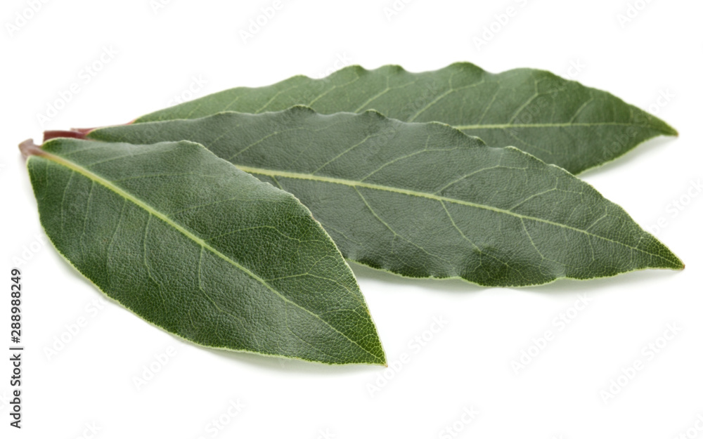 Obraz premium Aromatic bay leaves