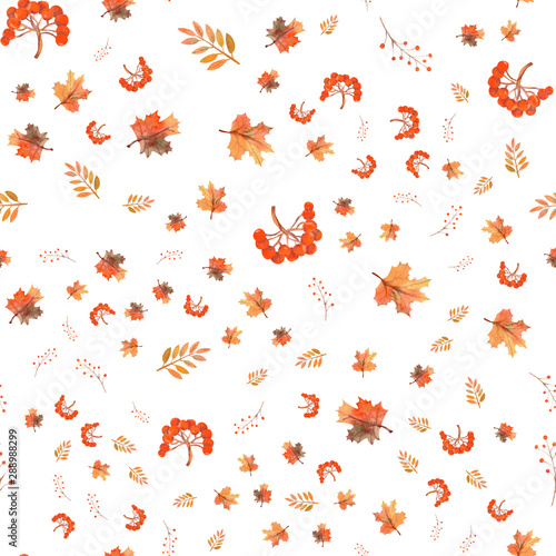Seamless autumn leaves background  berries on white isolated background. Watercolor illustration
