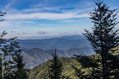 View from Alum Cave Trail of the Great Smoky Mountains National Park, Tennessee, USA
