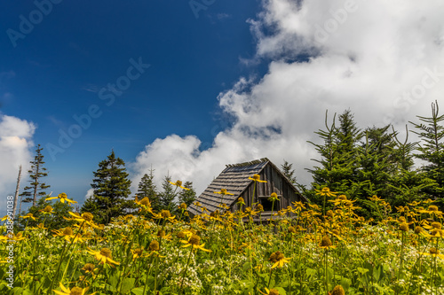 LeConte Lodge, Great Smoky Mountains National Park photo