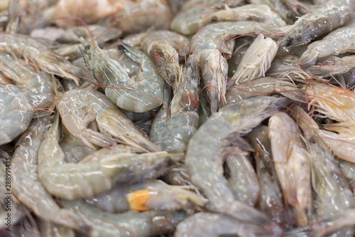 Many shrimp in the supermarket