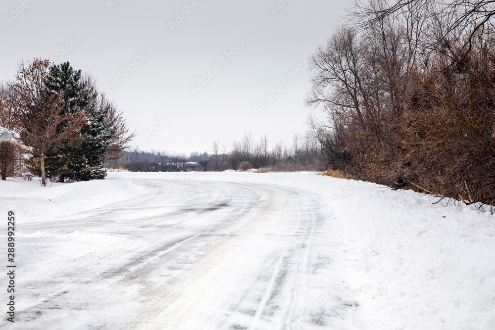 Road Covered in Snow Surrounded by Trees Road Covered in Snow Surrounded by Trees