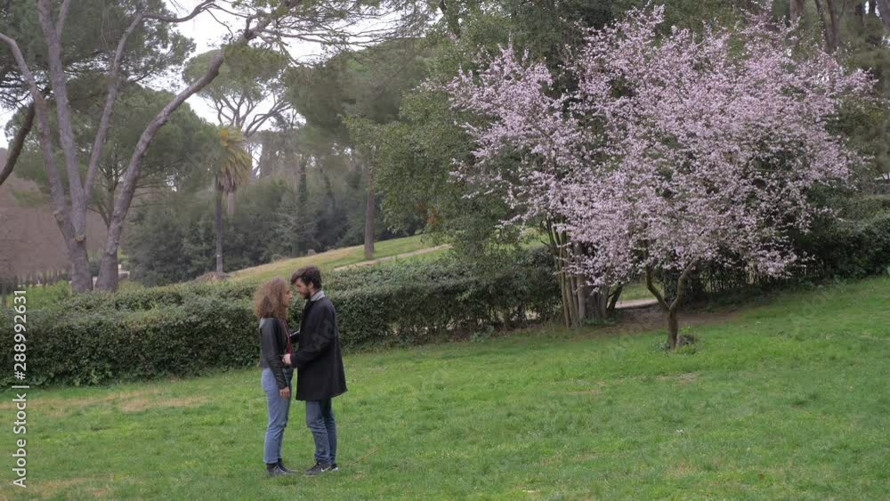 romantic young couple flirting,cuddling standing in the park.Romance,love