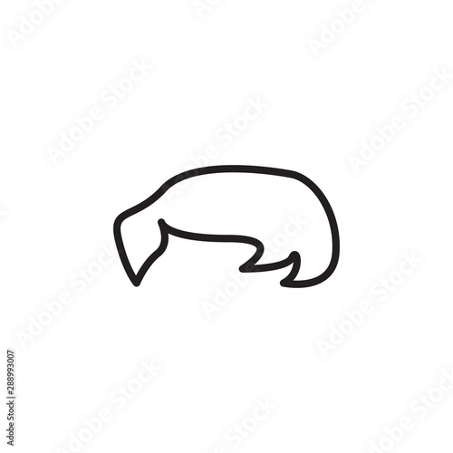Hair graphic design template vector isolated illustration