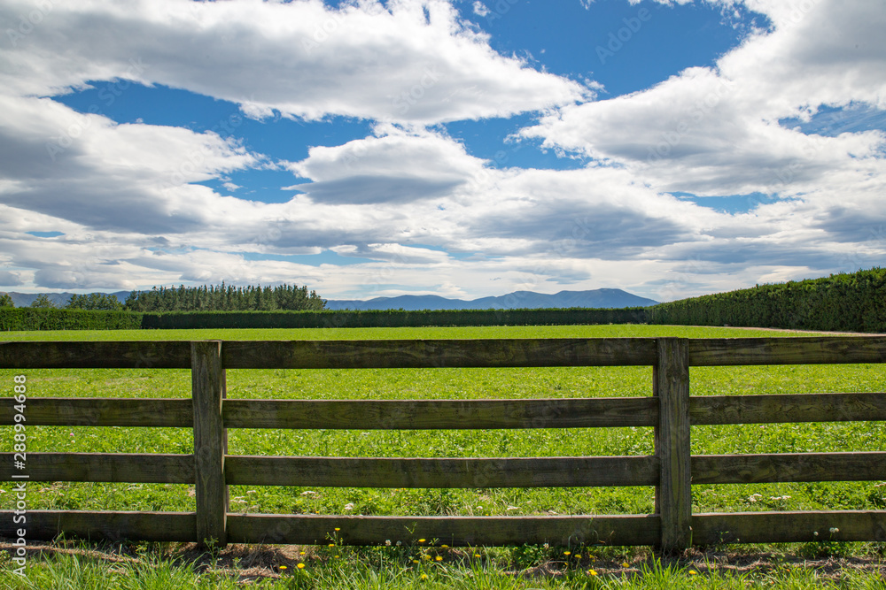 A wooden farm fence divides up grassy farm fields in Canterbury, New Zealand. A blue sky and white clouds spring day A wooden farm fence divides up grassy farm fields in Canterbury, New Zealand. A blue sky and white clouds spring day