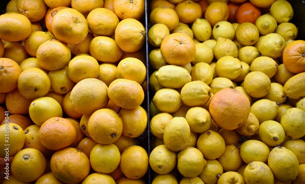 Tangerines and lemons in the public market square. 