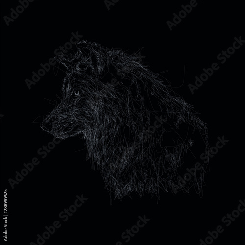portrait of black dog in scribble art. Wolf in scribble art. With black background for t-shirt screen printings