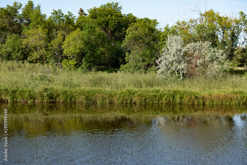 Banks of the Moose Jaw river in Moose Jaw Saskatchewan