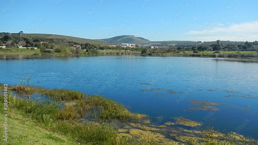 Scenic view of a lake with birds on it. Scenic view of a lake with birds on it.