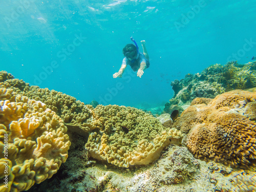 Man snorkeling underwater on a reef with soft coral and tropical fish