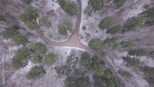 Flying into the winter forest in Switzerland. Drone with birdseye view comming down. photo