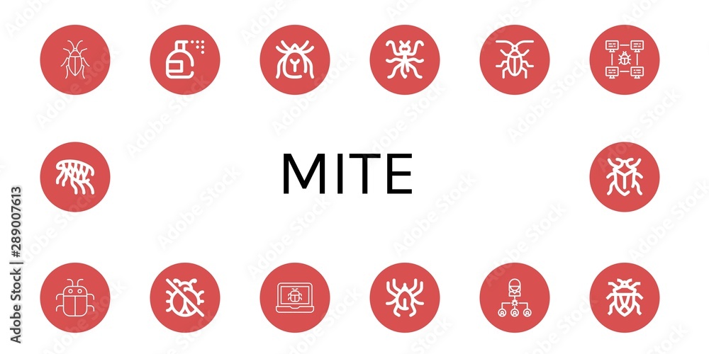 Set of mite icons such as Cockroach, Insecticide, Mite, Mantis, Bug, No insects, Acari, Flea , mite Set of mite icons such as Cockroach, Insecticide, Mite, Mantis, Bug, No insects, Acari, Flea , mite