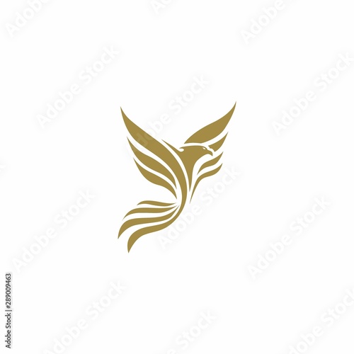 Phoenix Logo Icon Design Template with combination Abstrac and Modern Concept - EPS 10